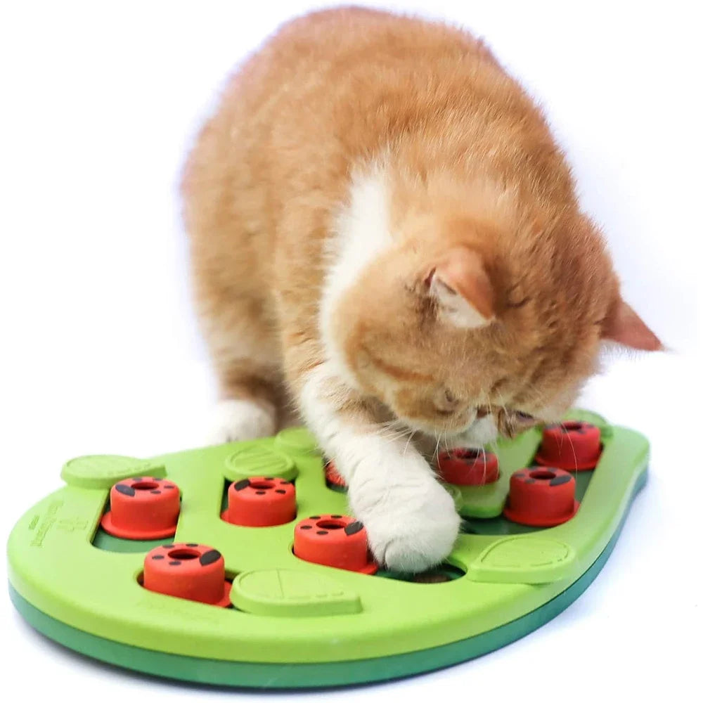 Cat Puzzle Play Toy Pet Puzzle Toy Interactive Slow Feeder Food Scratch Board for Indoor Cats