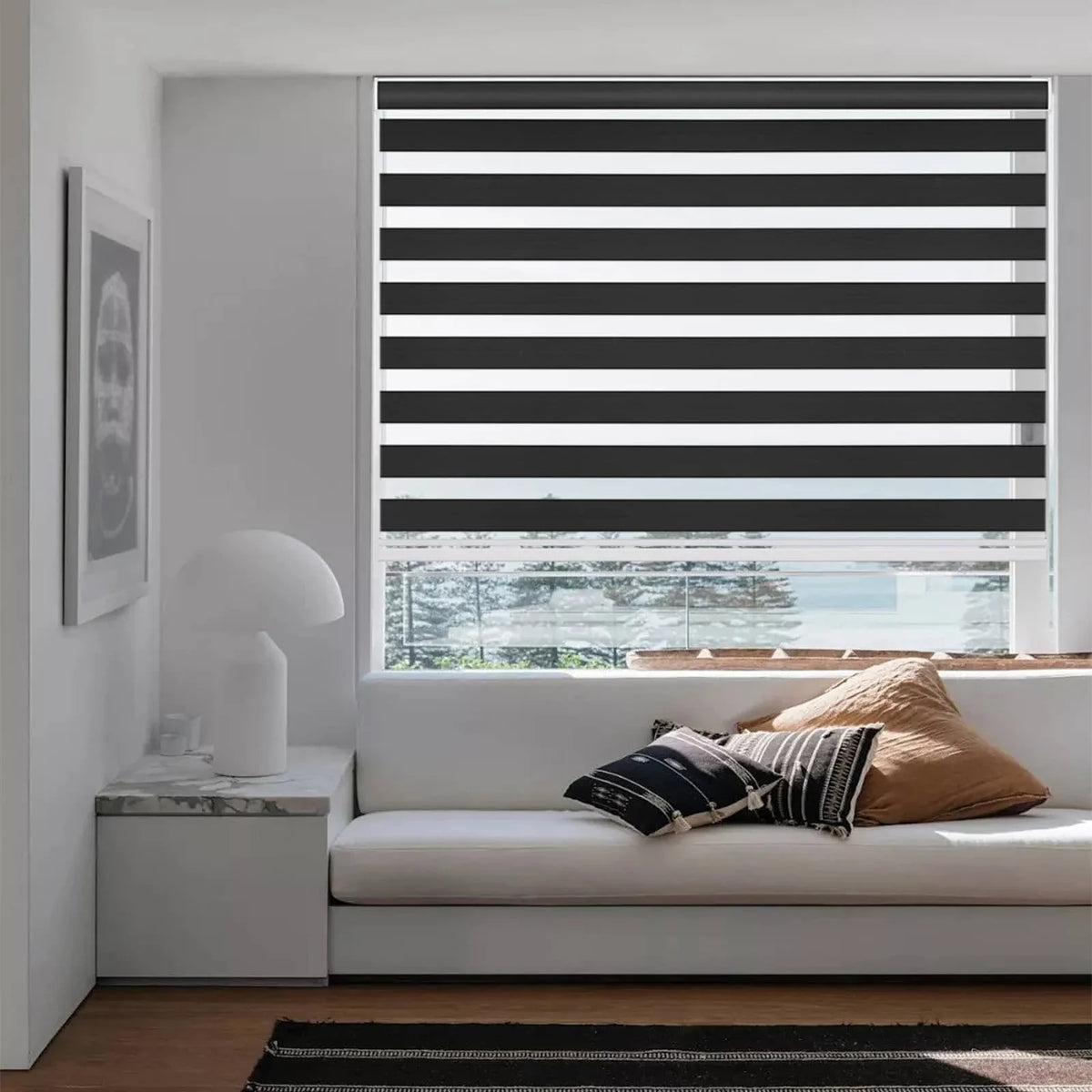 Window Shades