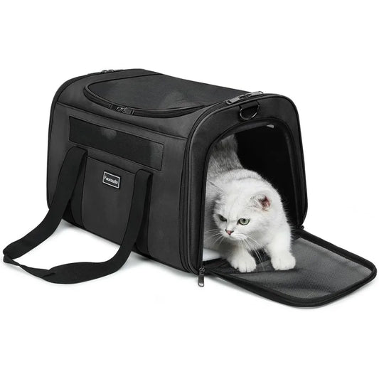Foldable SoftSided Pet Carrier for Cats and Small Dogs Up to 20 Lbs with 4 Ventilated Windows EscapeProof Design Airline Approv