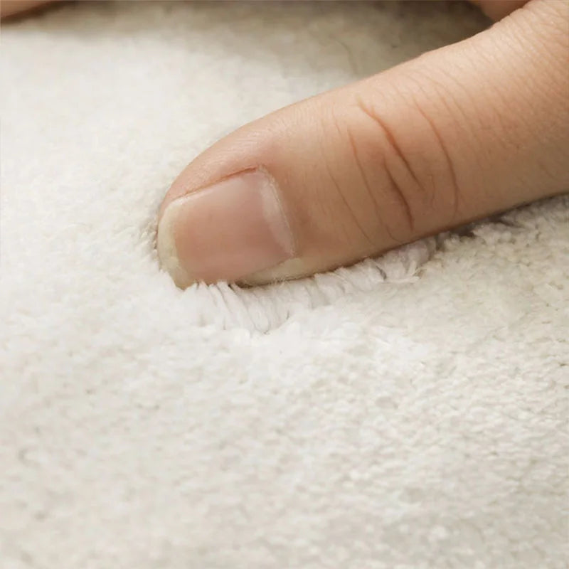 French Style Carpets for Living Room Light Luxury Bedroom Decor Washable Carpet Thick Plush Study Floor Mat Home Fluffy Soft Rug