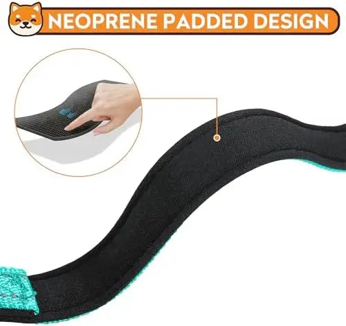 Reflective Dog Collar for Medium Dogs – Adjustable Soft Collar with Buckle & Teal Color
