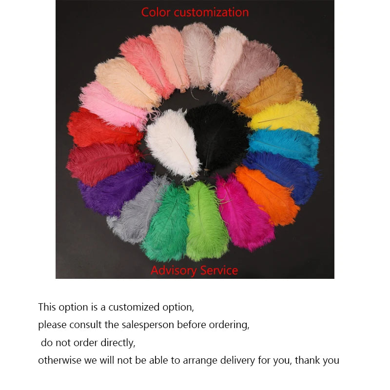 Nordic Ostrich Feather Lamp Led Pendant Lights Living Room Home Decor Bedroom Indoor Lighting Chandelier Hanging Light Fixture