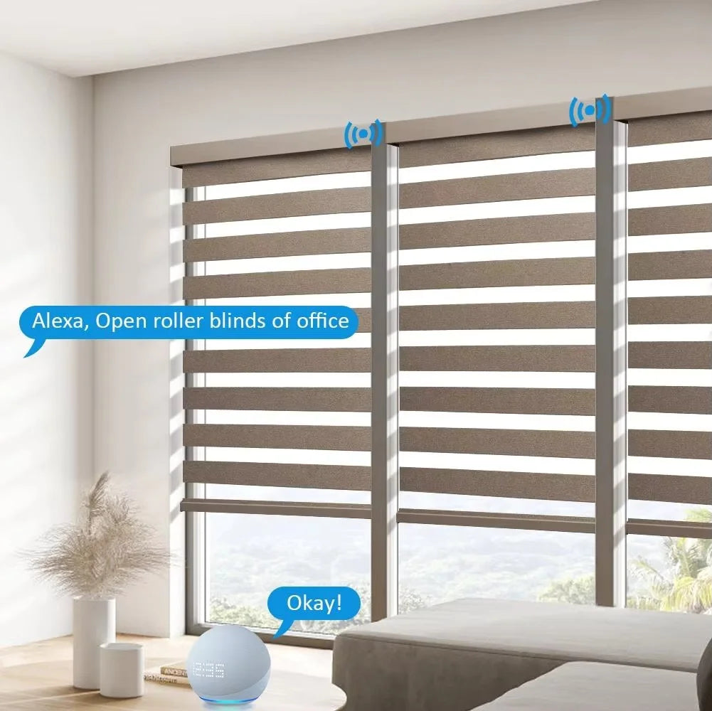 Customized Hot Selling Square Style Automatic Remote Voice Control Connect Wifi Google Zebra Blinds For Window